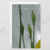 イエローポピー11文房具パーソナライズされた具 便箋 (正面/裏面)