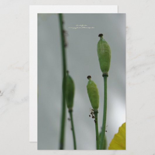 イエローポピー11文房具パーソナライズされた具 便箋 (正面/裏面)