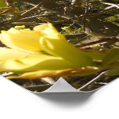 イエローマグノリア ポスター (角)