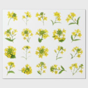 イエローマスタードフラワーボタニカルセット カノーラの花 ラッピングペーパー