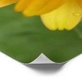 イエローマリゴールドプリント ポスター (角)