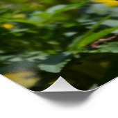 イエローマリゴールド ポスター (コーナー)