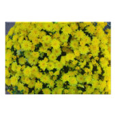 イエローマルガリータデイジーフラワーフォトプリント フォトプリント            (正面)