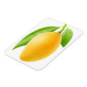 イエローマンゴー マグネット (左側)