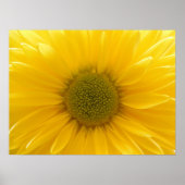 イエローマームポスター ポスター (正面)