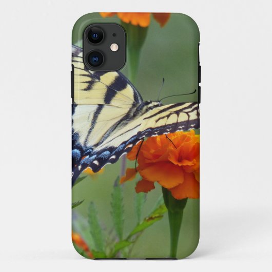 イエローメス東タイガーアゲハチョウ Case-Mate iPhoneケース (裏面)