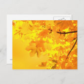 イエローメープルはがき ポストカード (正面/裏面)