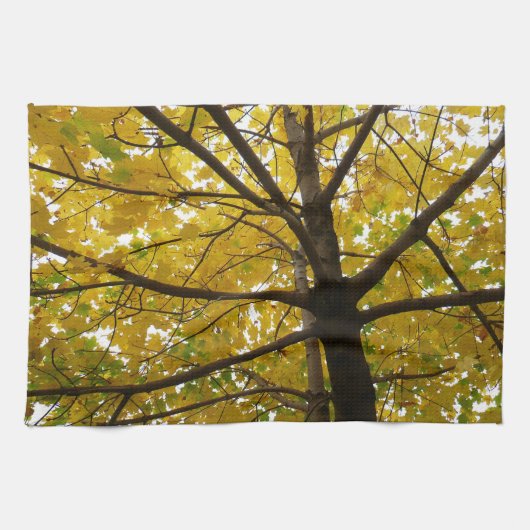 イエローメープルツリーズオータム自然 キッチンタオル (横)