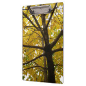 イエローメープルツリーズオータム自然 クリップボード (左)