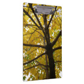 イエローメープルツリーズオータム自然 クリップボード (右)