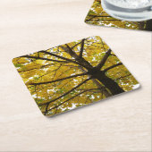 イエローメープルツリーズオータム自然 スクエアペーパーコースター (アングル)