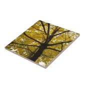 イエローメープルツリーズオータム自然 タイル (側面)