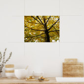 イエローメープルツリーズオータム自然 ポスター (キッチン)
