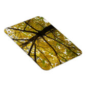 イエローメープルツリーズオータム自然 マグネット (右側)