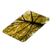 イエローメープルツリーズオータム自然 マグネット (左側)