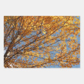 イエローメープルツリーズオータム自然 ラッピングペーパーシート (正面3)