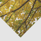 イエローメープルツリーズオータム自然 薄葉紙 (詳細)
