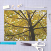 イエローメープルツリーズオータム自然 薄葉紙 (クラフト)