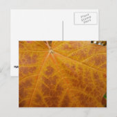 イエローメープルリーフオータム抽象芸術自然 ポストカード (正面/裏面)