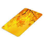 イエローメープル磁石 マグネット (左側)