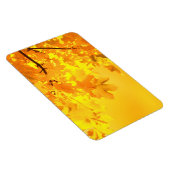 イエローメープル磁石 マグネット (右側)