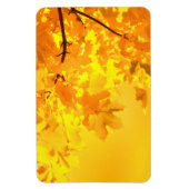 イエローメープル磁石 マグネット (縦)