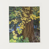 イエローメープル葉ズとダグラスモミの写真 タペストリー (正面)
