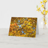 イエローメープル離れズとブルースカイ カード (黄色い花)