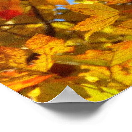 イエローメープル離れズとブルースカイ ポスター (角)