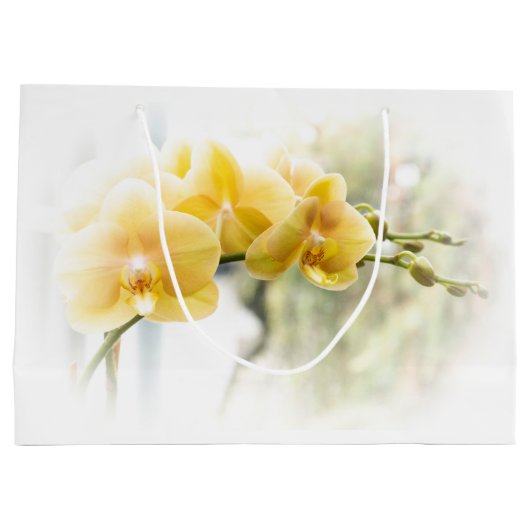 イエローモスーキッドインサンシャイン ラージペーパーバッグ (裏面)