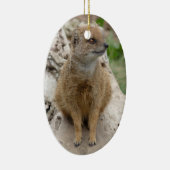 イエローモンガチョウ セラミックオーナメント (右)