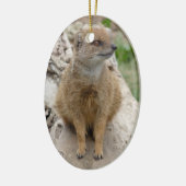 イエローモンガチョウ セラミックオーナメント (左)