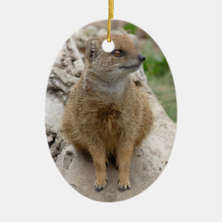 イエローモンガチョウ セラミックオーナメント