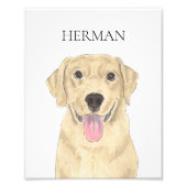 イエローラブラドールアート フォトプリント            (正面)