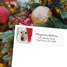 イエローラブラドールクリスマス差出人住所