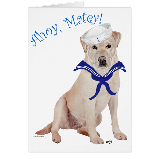 イエローラブラドールセーラー (正面)