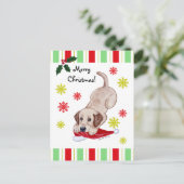 イエローラブラドールパピー&サンタハットクリスマス シーズンポストカード (スタンド正面)