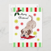 イエローラブラドールパピー&サンタハットクリスマス シーズンポストカード (正面/裏面)