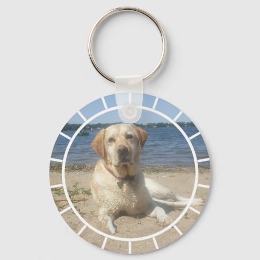 イエローラブラドールリトリエバーキーチェーン キーホルダー (正面)