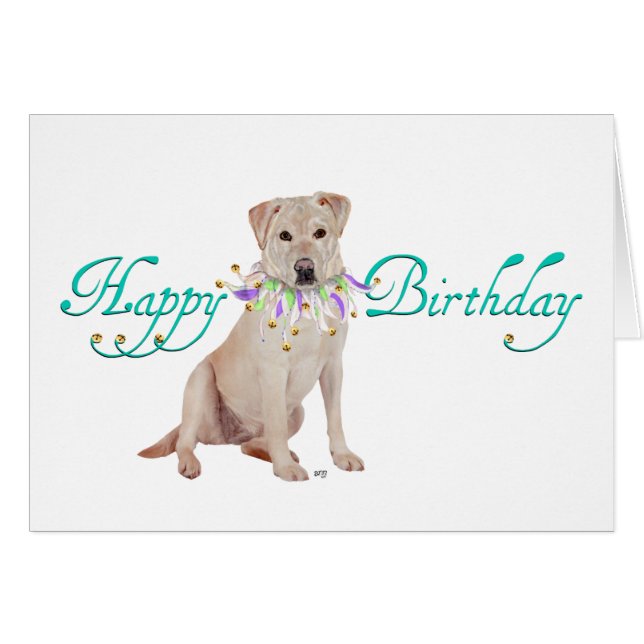 イエローラブラドールリトリバーパーティー (正面横)