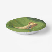 イエローラブラドールリトリーバードッグ ペーパーボウル (傾斜あり)