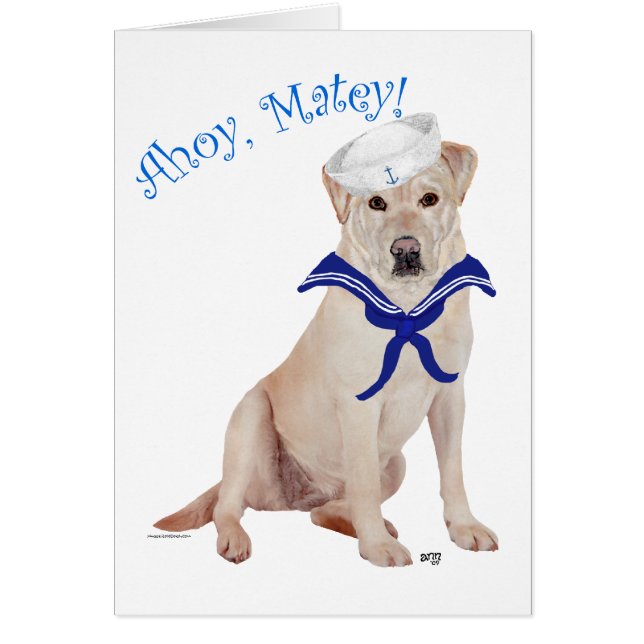 イエローラブラドールレトリエバーセーラー (正面)