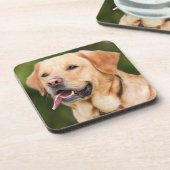 イエローラブラドールレトリエバードッグ – ラボ コースター (左側)