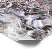 イエローラブラドールレトリエバーパピーフォトプリント フォトプリント            (角)