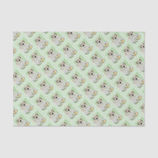 イエローラブラドールレトリバー&テニスボール絵画ズ 薄葉紙 (正面)