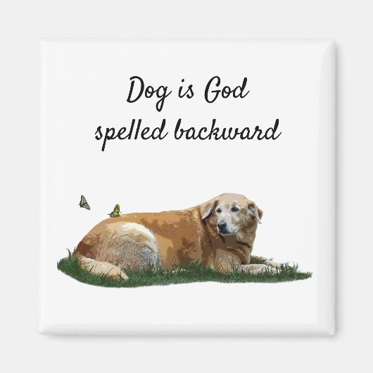 イエローラブラドール混成犬磁石 マグネット (正面)