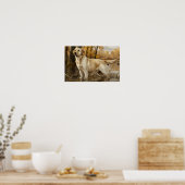 イエローラブラドール狩りポスター、ダックハンターズ ポスター (キッチン)