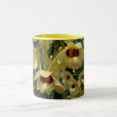 イエローランとマルーンランエレガントフローラ ツートーンマグカップ (中央)