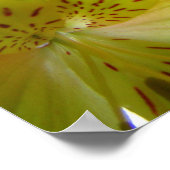 イエローリリポスタープリント ポスター (角)