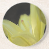 イエローリリーバイシャーリーテイラー コースター (正面)